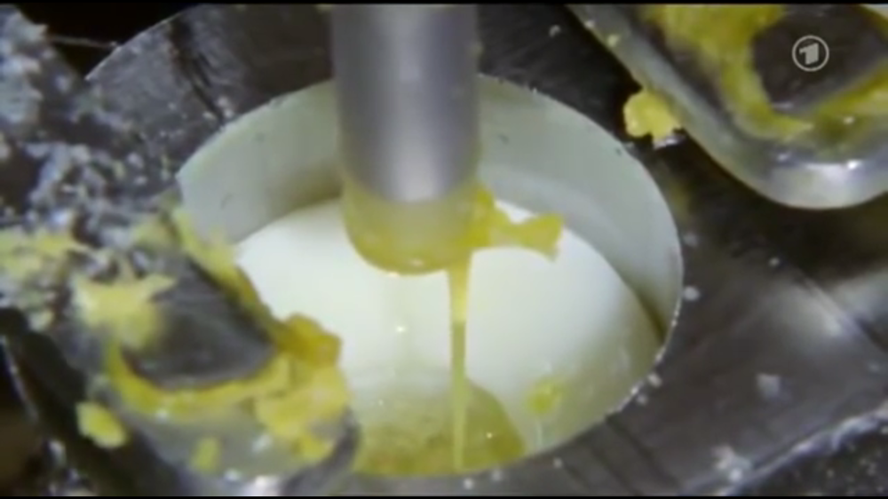 protein with yolk