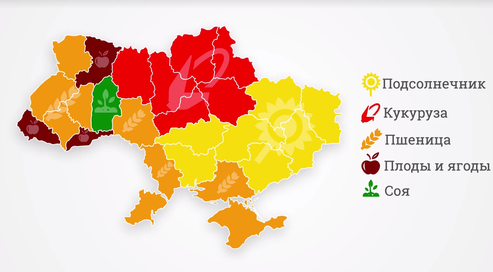 растениеводство в Украине структура 