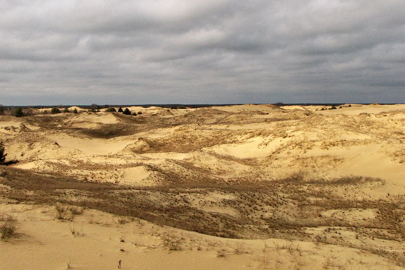 Олешковские пески — пустыня в Украине 
