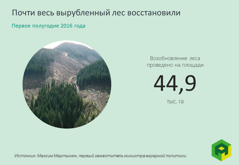 вырубка леса в Украине 