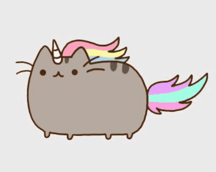 Cat Unicorn