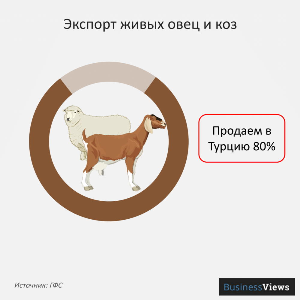 Экспорт живых овец и коз
