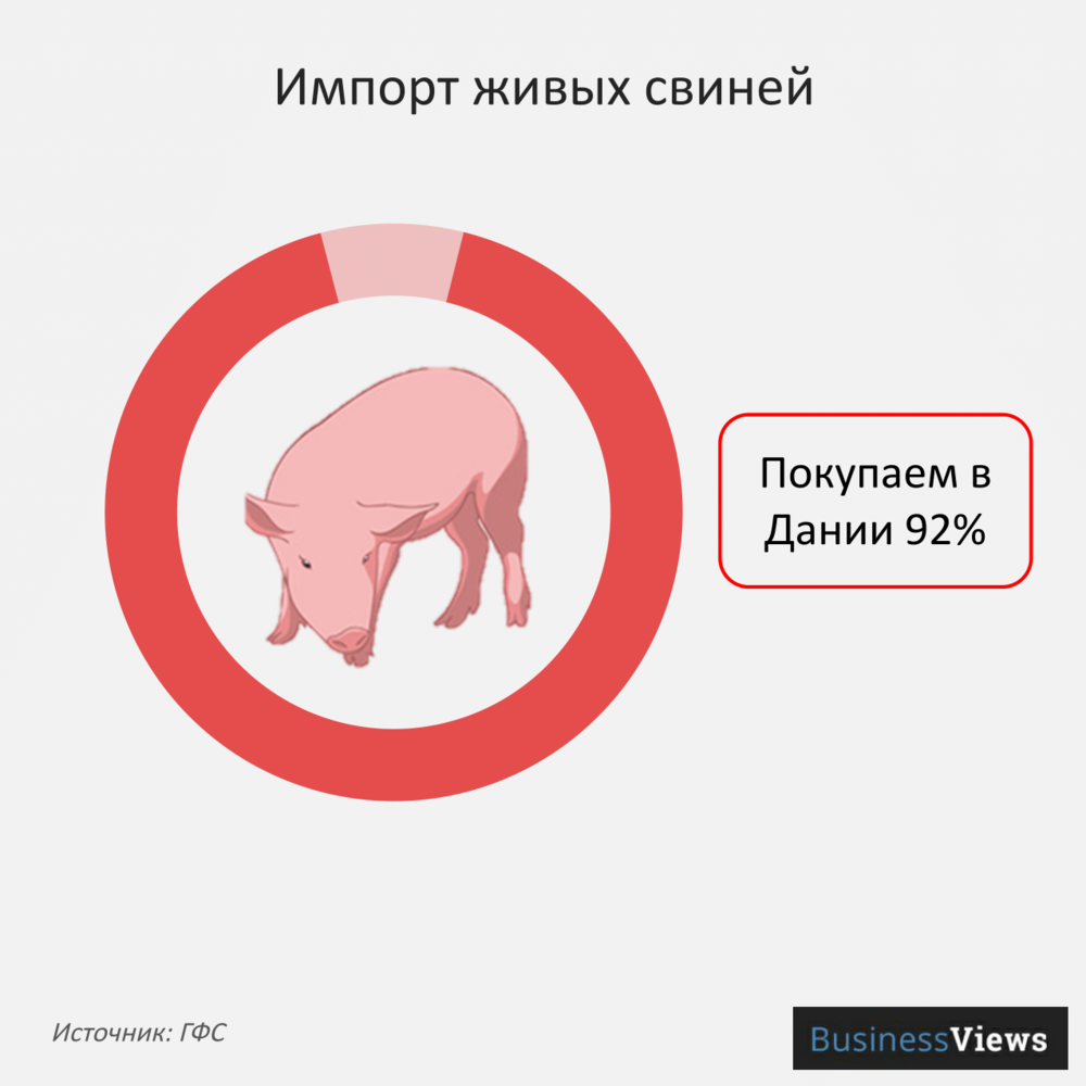 Импорт живых свиней