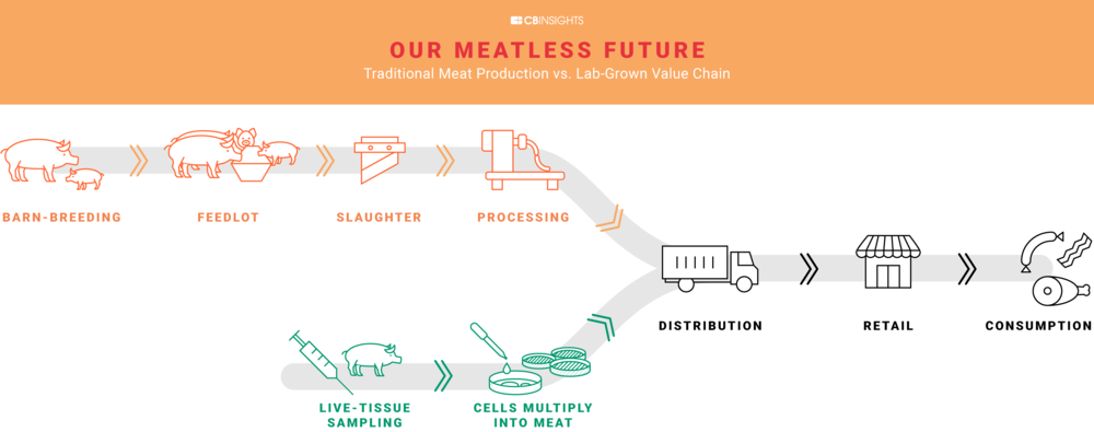 Traditional Meat Production vs. Lab-Grown Value Chain