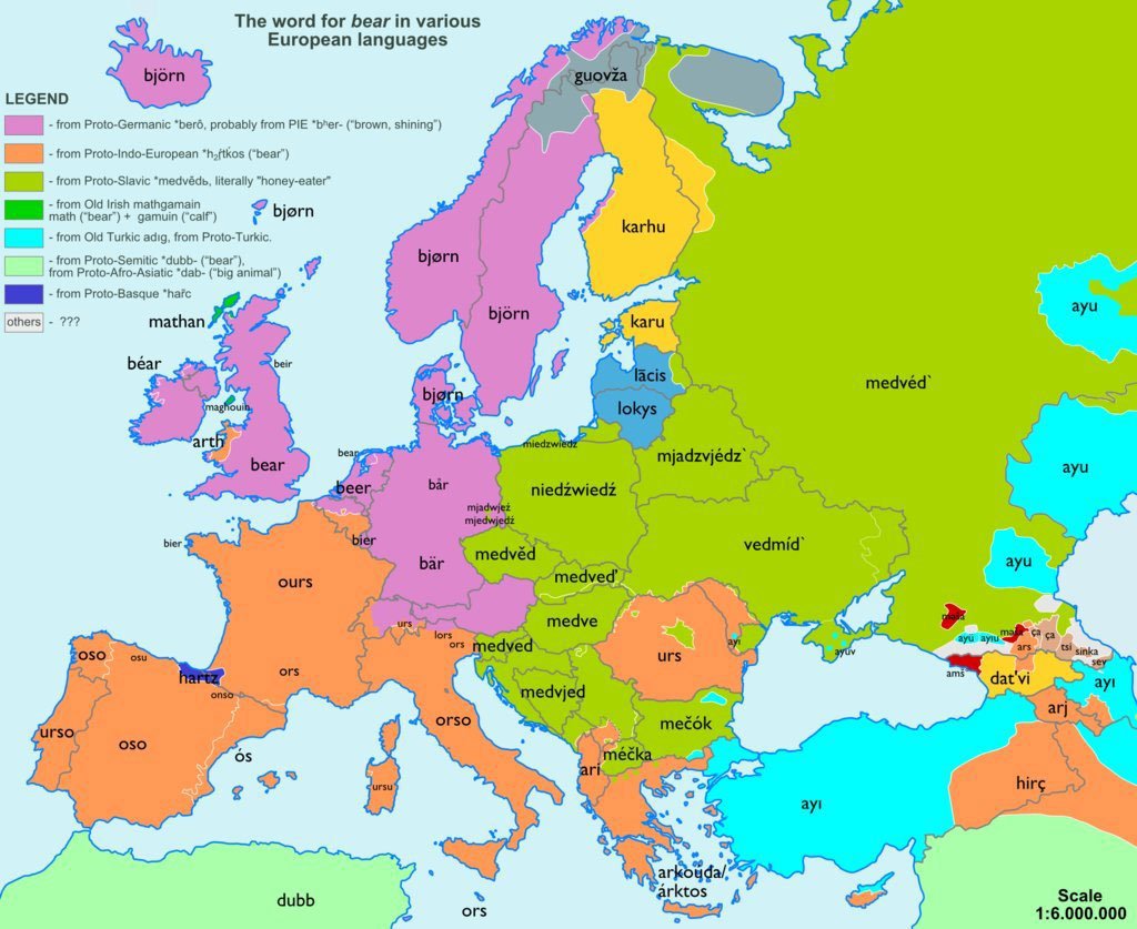 Медведь на разных европейских языках