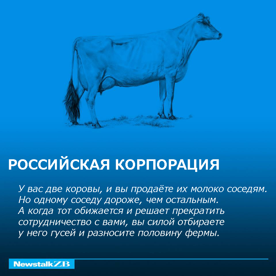 picture_russian-cow_1242_p0.jpg