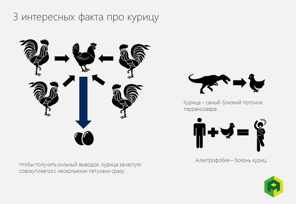 3 интересных факта про курицу