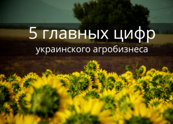 Агробизнес в Украине: 5 важных фактов