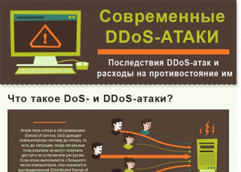 Что такое DDoS-атаки и чем они грозят бизнесу?