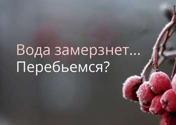 Вопрос дня: перезимуем?