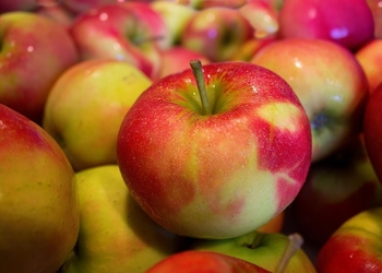 Цена на яблоко в Украине побила антирекорд последних лет. Чего ожидать от грядущего сезона?