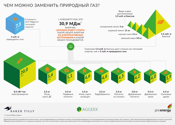 Что еще можно сжечь вместо российского газа?