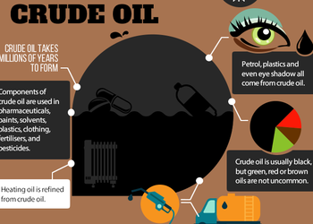 Как образовывается нефть