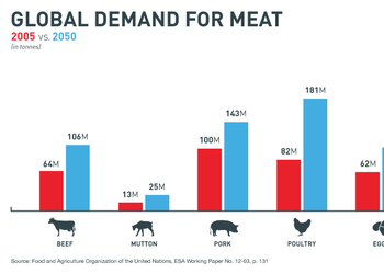 8 удивительных фактов о мясе из лаборатории