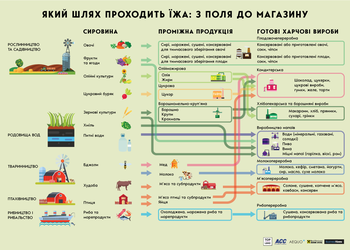 Что происходит с зерном, маслом и другими главными товарами Украины, и как это влияет на нашу экономику