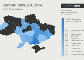 Урожай овощей 2014: голодать зимой не придется