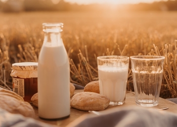 20+ незвичайних питань та відповідей про молоко — все, що ти хотів знати, але не знав, у кого спитати