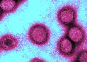 Важливі факти про грип, які потрібно знати під час сезонних епідемій