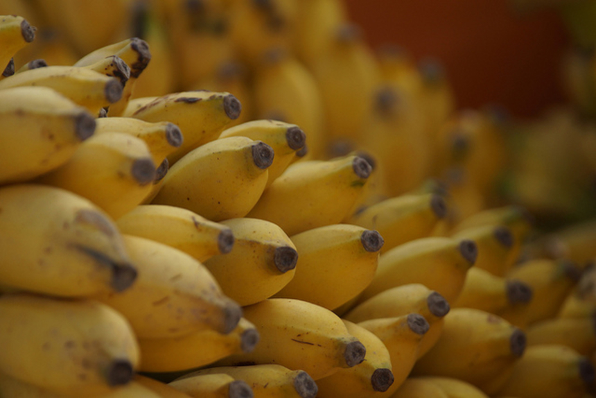 Как в Коста-Рике собирают бананы