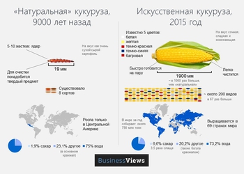 Кукуруза, арбуз и персик: тысячи лет метаморфоз в картинках