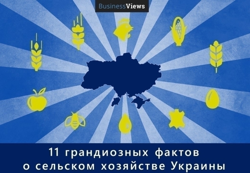 Как Украина обеспечивает другие страны продовольствием: 11 фактов