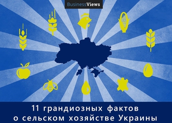 Как Украина обеспечивает другие страны продовольствием: 11 фактов