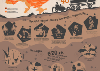 Инфографика дня: как происходит незаконная добыча янтаря